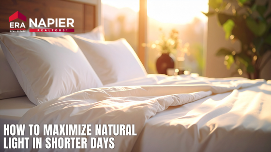 How to Maximize Natural Light in Shorter Days | Napier ERA