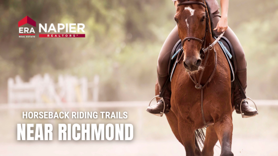 Horseback Riding